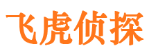 波密寻人公司